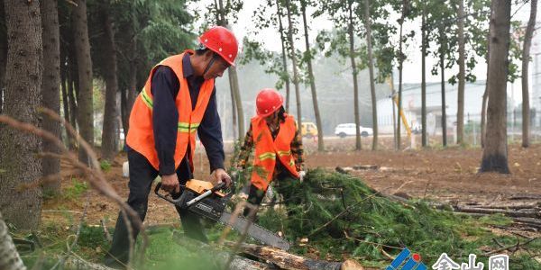 推进“两沿”整治 提升道路环境